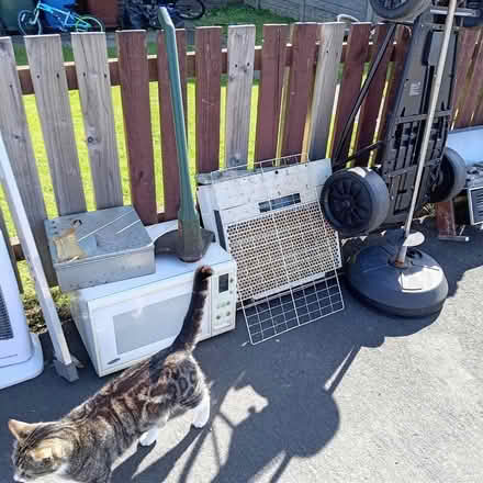 Photo of free scrap (Chorley PR6) #2