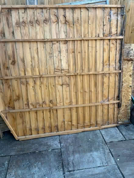 Photo of free Large amount of wood from shed (SO15) #2