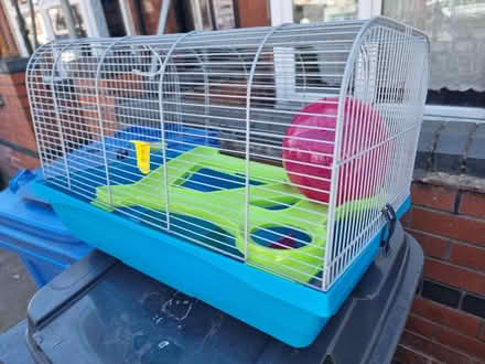 Photo of free Pet bundle (Derby, Osmaston DE24) #1