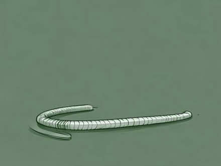Photo of 15-20m old garden hose (Woodley RG6) #1