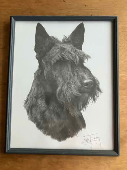Photo of free Scottish Terrier print in frame (Parkstone, Poole. BH14.) #1