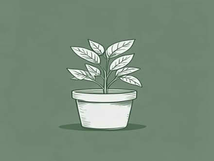Photo of free Selection of plant pots (Greystoke CA11) #1