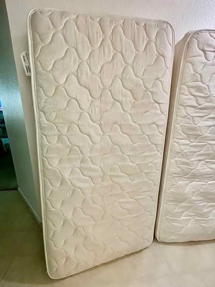 Photo of free Twin size mattresses (Round rock) #2