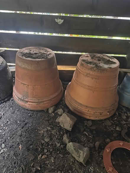 Photo of free 5 Terracotta Pots (Kentfield) #3