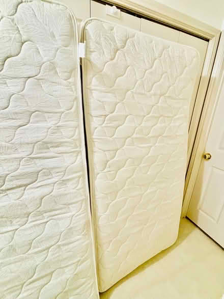 Photo of free Twin size mattresses (Round rock) #3