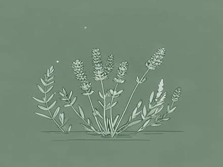 Photo of Lavender, heather, ferns or grasses (Little Herberts GL53) #1