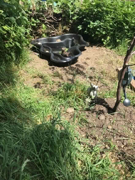 Photo of Pond accessories (Goffs Oak EN7) #1