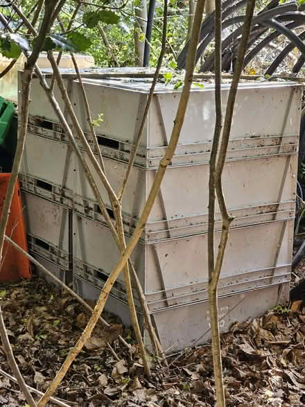 Photo of free Large plastic stacking boxes (double Euro crate size) x 14 (Westbere CT2) #2
