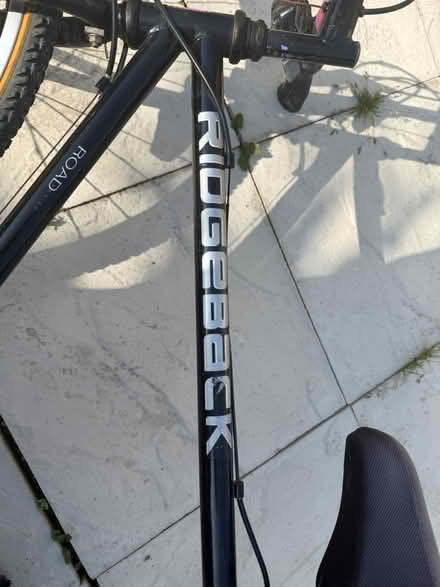Photo of free Women’s mountain bike (Canvey Island) #3