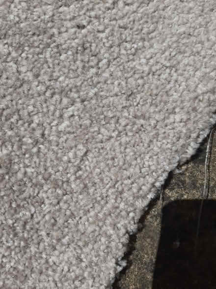 Photo of free Light Silver Grey Carpet Offcuts (Wilsden Hill BD15) #1