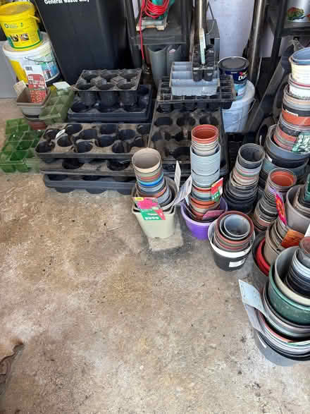 Photo of free Flower Pots & Trays (Woodgate PO20) #2