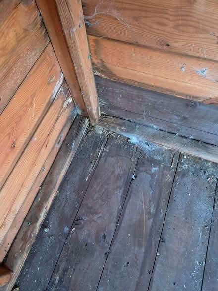 Photo of free 6 x 8 Shed (Ecclesfield S5) #4