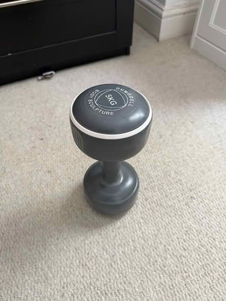 Photo of free 5kg dumbbell x2 (Angel N1) #1