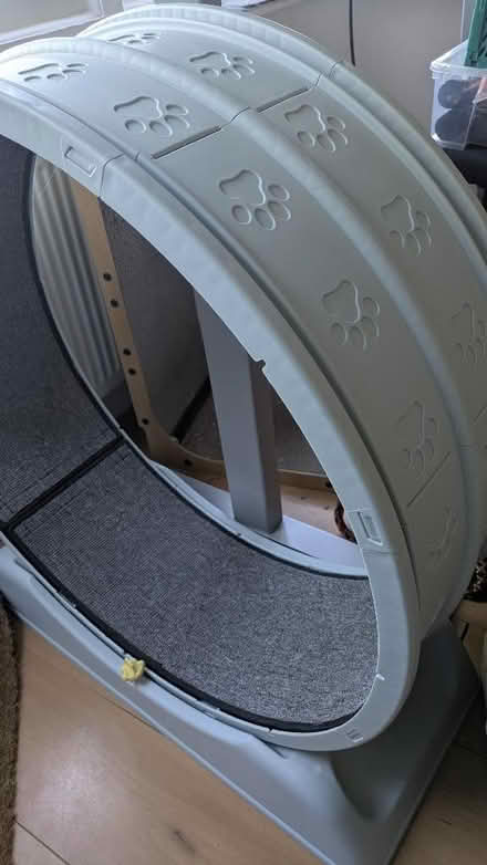 Photo of free Cat Wheel (Dyke Road area BN3) #3