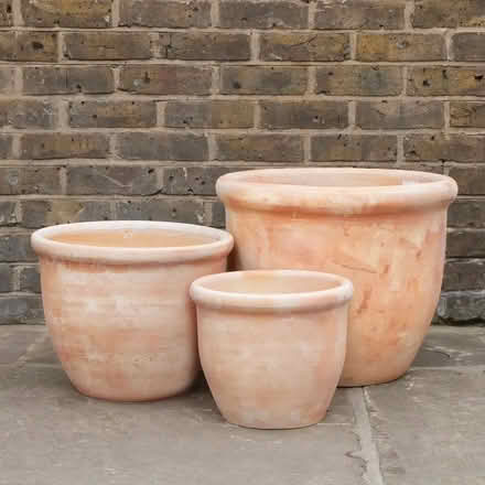 Photo of Large pots and planters – ceramic, clay, or wood (Waterstock OX33) #1