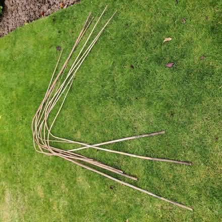 Photo of free Bamboo sticks... (Chineham RG24) #2