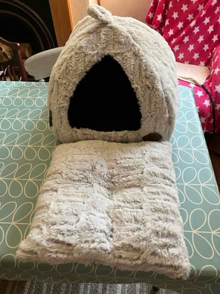 Photo of free Cat Bed (Dorking) #2