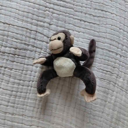 Photo of free Monkey finger puppet (Union City) #1