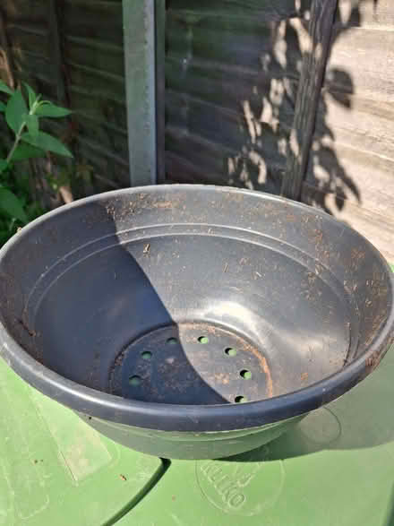 Photo of free Planting bowl (Lightwater GU18) #1