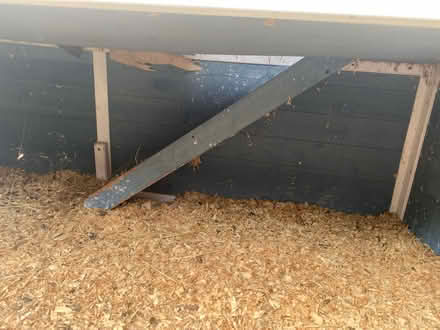 Photo of free 2 storey Guinea pig hutch (Beeston, LS11) #2