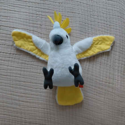 Photo of free Parrot plush (Union City) #1