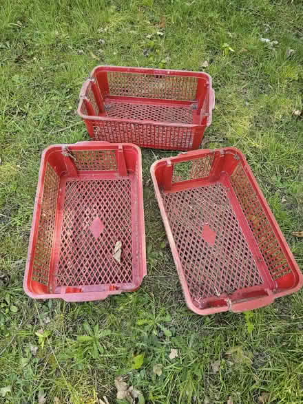 Photo of free Red plastic storage baskets x 40, stacking (old and dusty) (Westbere CT2) #1