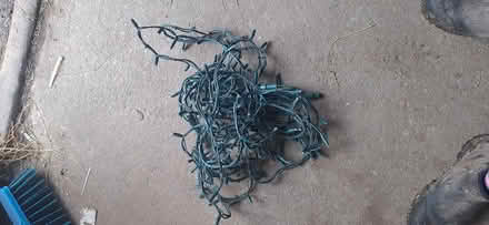 Photo of free Christmas lights (Beaconsfield) #1