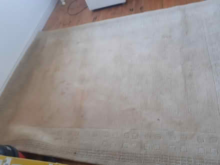Photo of free Large rug (Long Whatton LE12 5) #2