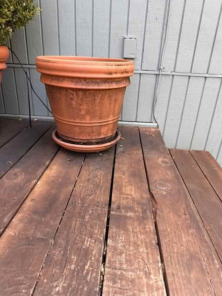 Photo of free 5 Terracotta Pots (Kentfield) #1