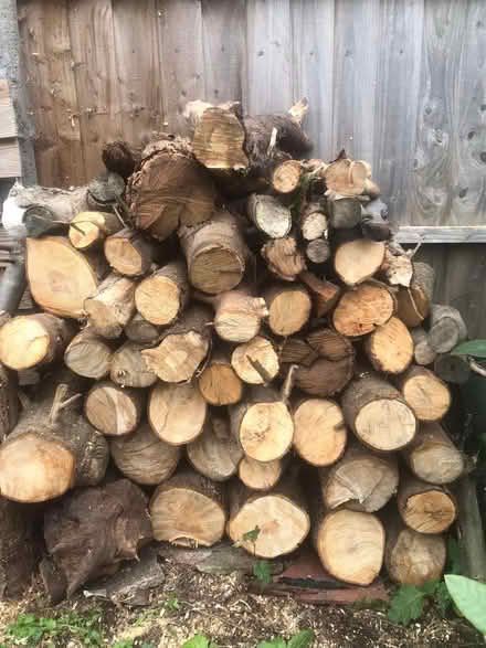 Photo of free Logs (B9 bordesley green) #2