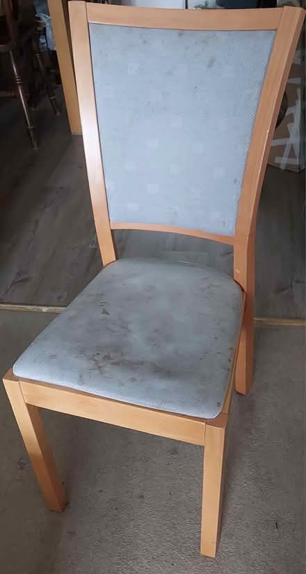 Photo of free Dining chairs (BN27) #1