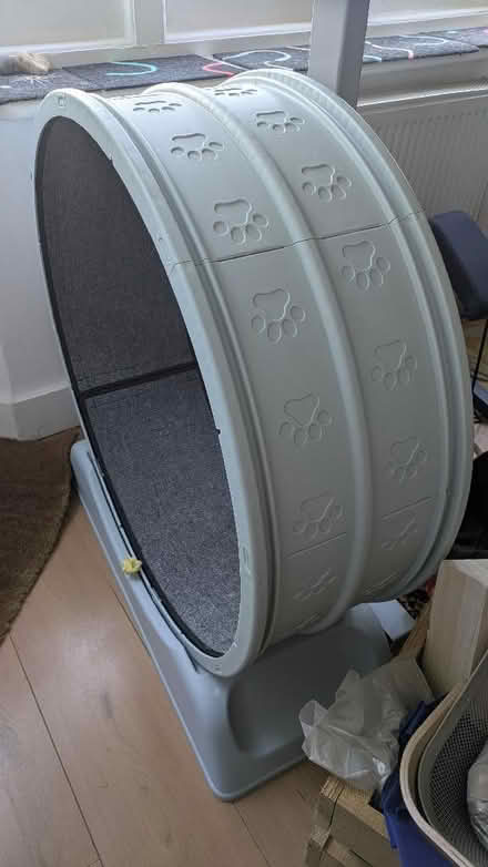 Photo of free Cat Wheel (Dyke Road area BN3) #1