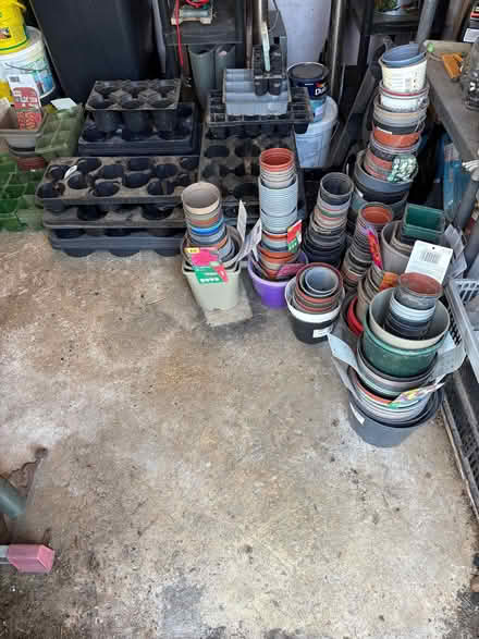 Photo of free Flower Pots & Trays (Woodgate PO20) #3