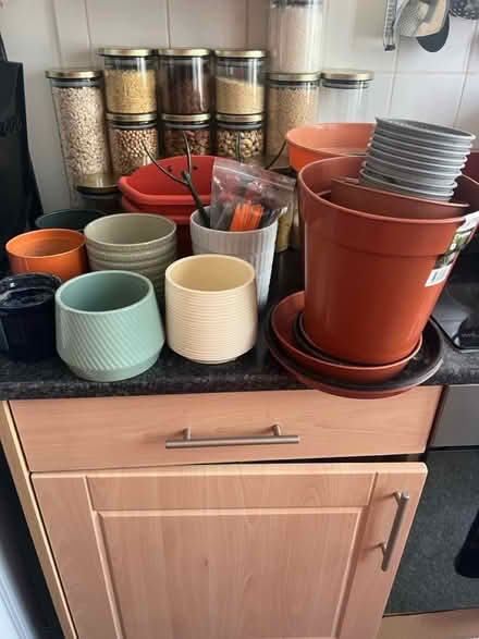 Photo of free Plant Supplies (WC1X) #1