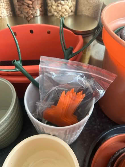 Photo of free Plant Supplies (WC1X) #4