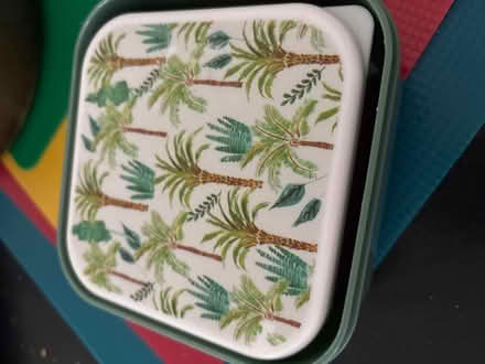 Photo of free Tiger storage boxes trinket box (Ash GU12) #2