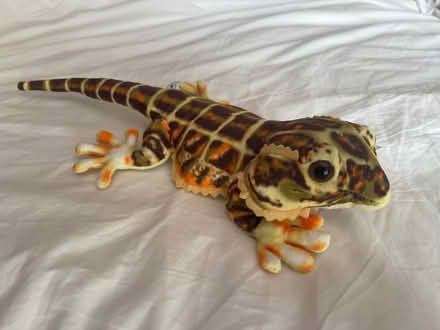 Photo of free Bearded Dragon Lizard Plush Toy (Chorley PR6) #1
