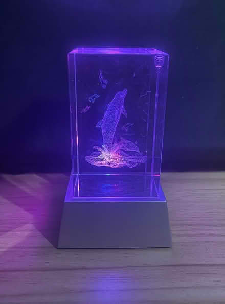Photo of free Colour changing glass dolphin ornament (Chorley PR6) #1