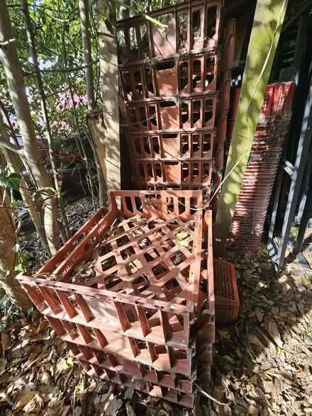 Photo of free Large terracotta red plastic stacking 'bread' baskets x 25 (Westbere CT2) #1