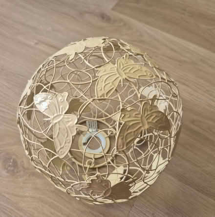 Photo of free Butterfly lamp shade (CT4) #2