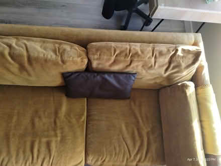 Photo of free Mustard Yellow Velvet Couch (19124) #2
