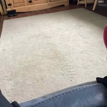 Photo of free Large pale green rug (Bilborough Nottingham NG8) #1