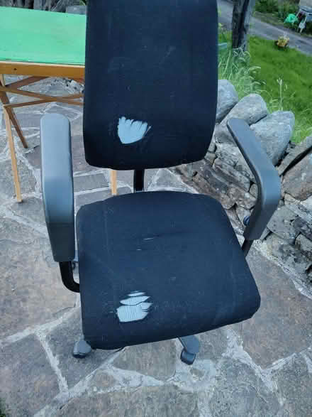 Photo of free Office chair (BD8 Fairweather green) #1