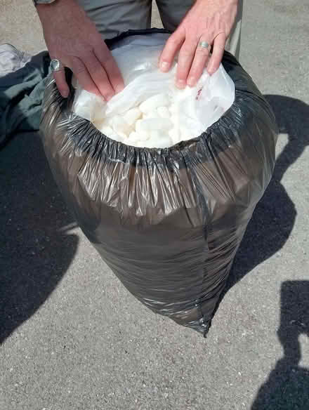 Photo of free Polystyrene filling (Brincliffe S11) #1
