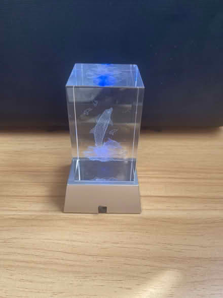 Photo of free Colour changing glass dolphin ornament (Chorley PR6) #4