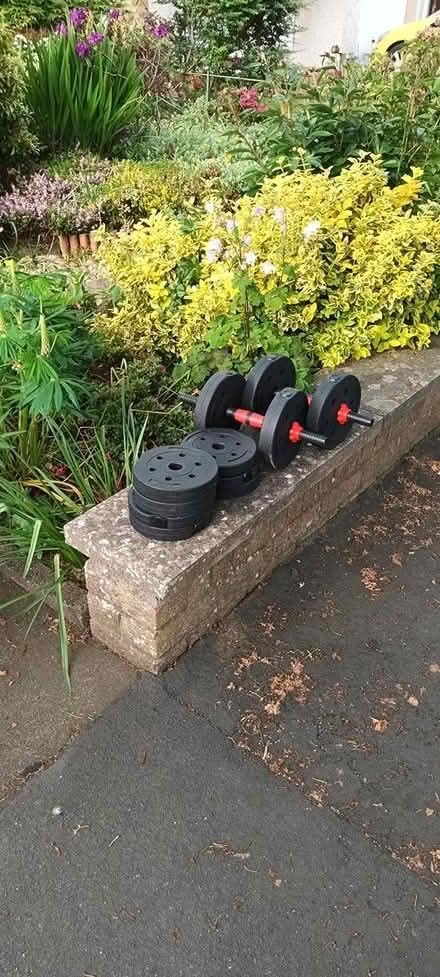 Photo of free weights (Edinburgh EH4) #1
