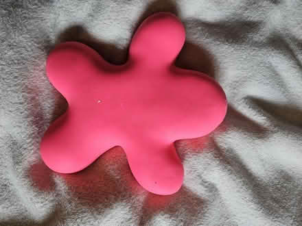 Photo of free Toy - heavy sqishy (CR0) #1