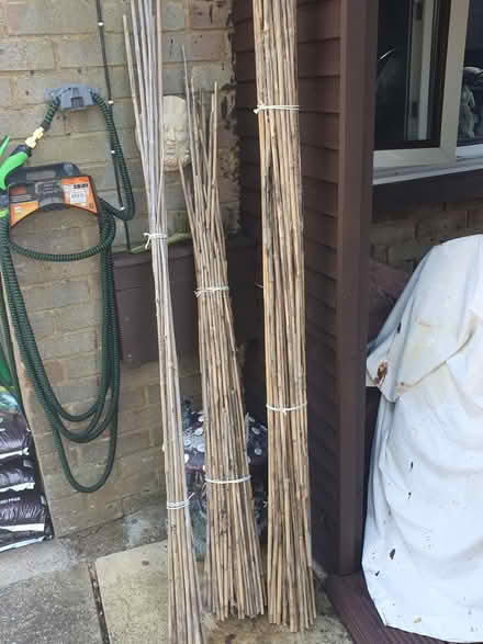 Photo of free Garden stuff (Stewkley) #1
