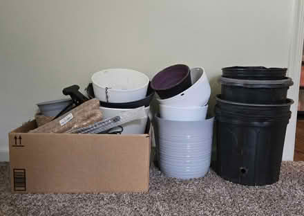 Photo of free Plant supplies (Morton) #1