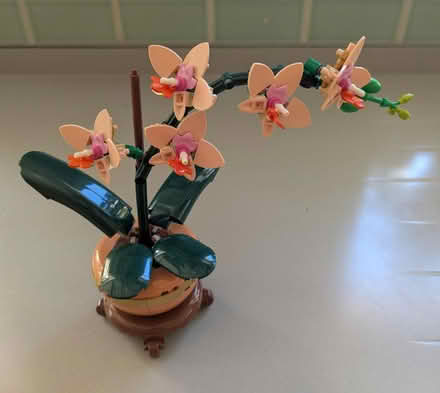 Photo of free LEGO 10343 Botanicals Mini Orchid (Stourbridge DY8) #1